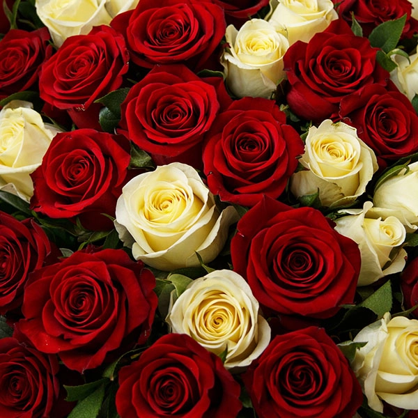 Букет из красных и белых роз (60 см)